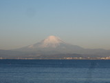 fuji