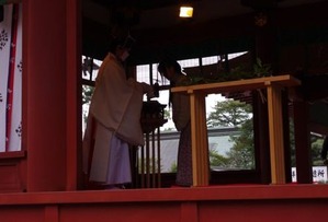 IMGP0248