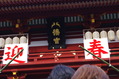 IMGP0242