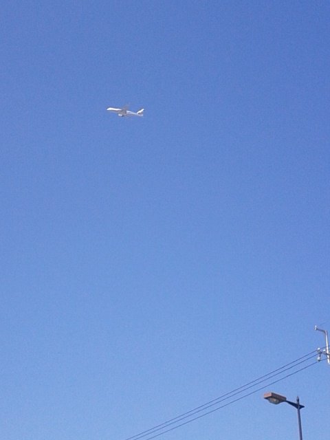 4f279045.jpg