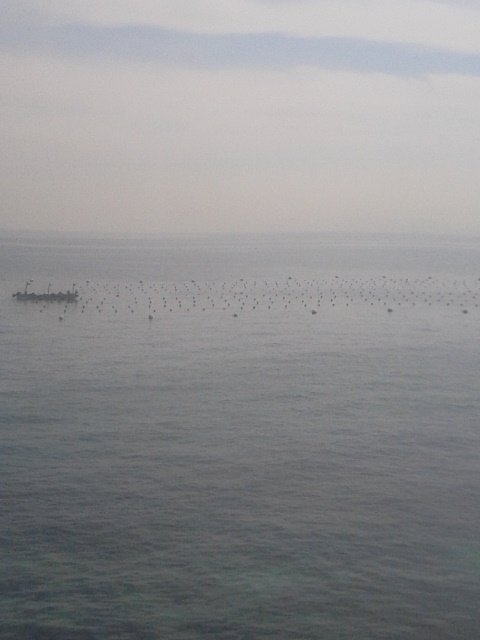 66006a2d.jpg
