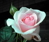�ޥ������餤����
