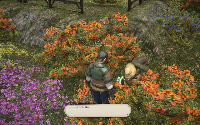 ffxiv_20171002_205854