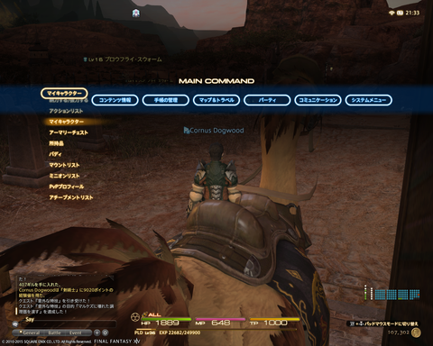 ffxiv_20150101_213332