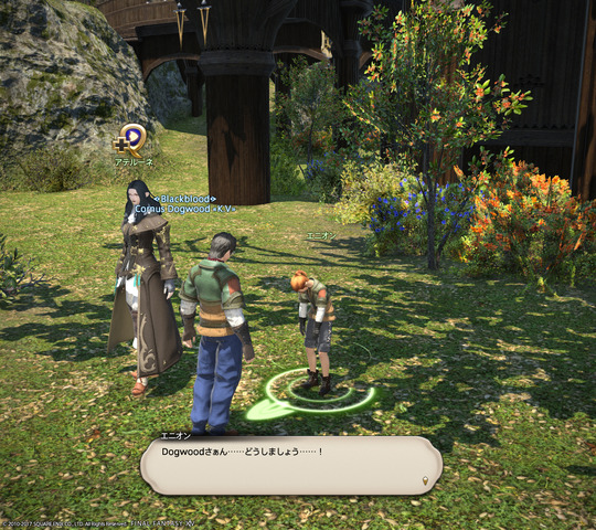 ffxiv_20170717_230629