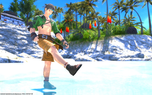 ffxiv_20170809_004951