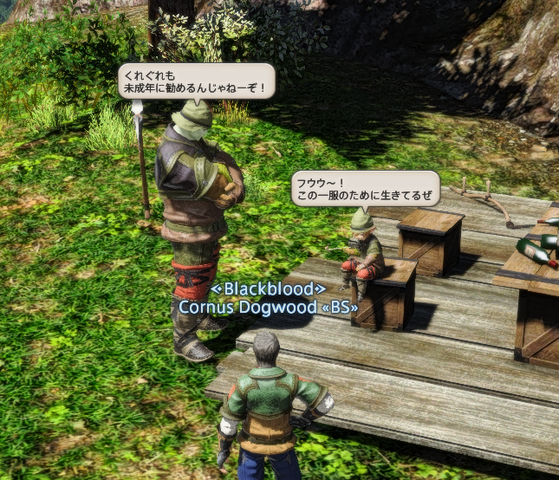 ffxiv_dx11 2016-05-28 16-29-09