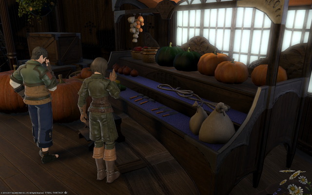 ffxiv_20171002_205324