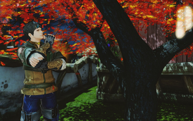ffxiv_dx11 2017-02-19 20-53-50