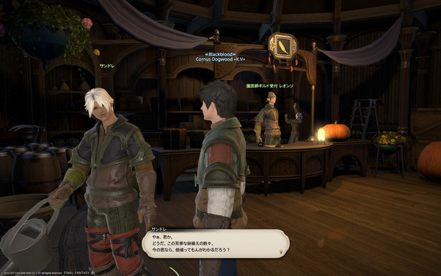 ffxiv_20171002_205202