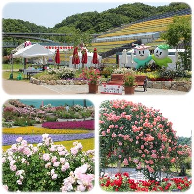 記念公園