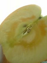 83f8a557.jpg