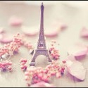 yjimageCAQ8HD15