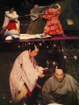 牡丹7