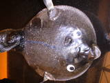 2fccd947.jpg