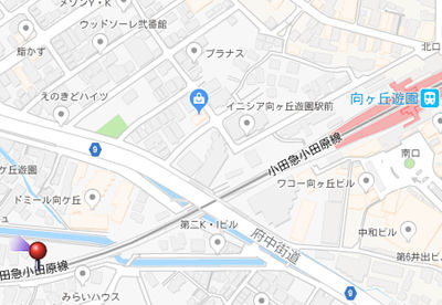 撮影地 向ケ丘遊園