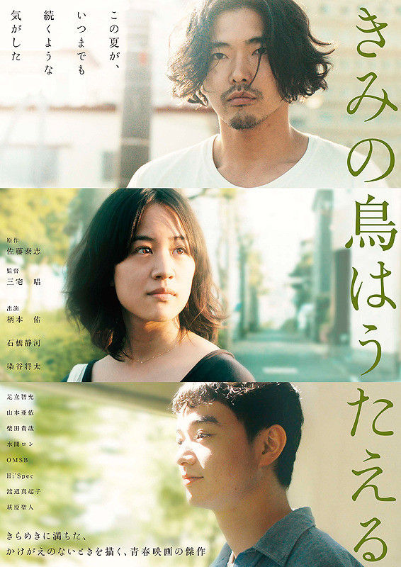 Kiminotori5