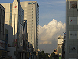 58515011.jpg