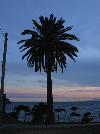 ca0b08b3.jpg