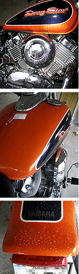 f24cd6c7.jpg