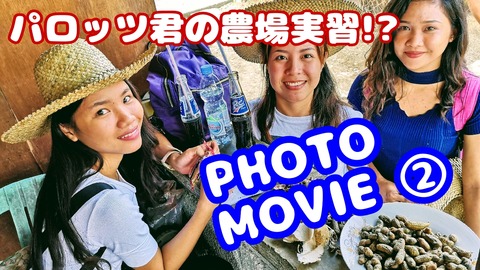 【パロッツ君】フォトムービーもできました