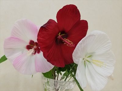 20180719_080103
