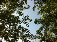 20110424_park01