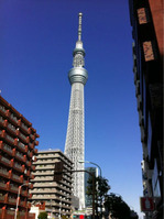IMG_0214_resized