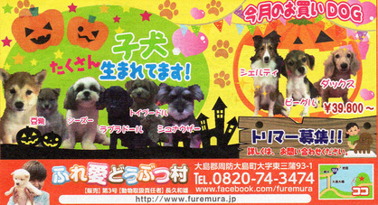ふれ愛どうぶつ村
