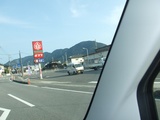 車窓からポプラ