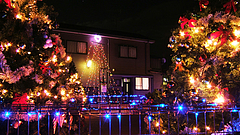 クリスマスツリー&イルミネーションIN久賀 クリスマスツリー&イルミネーションIN久賀