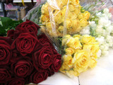 薔薇