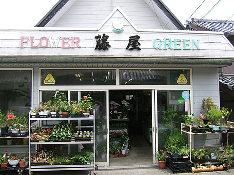 フラワー&グリーン 藤屋 フラワー&グリーン 藤屋