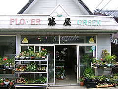 フラワー&グリーン 藤屋