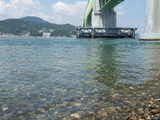 海面