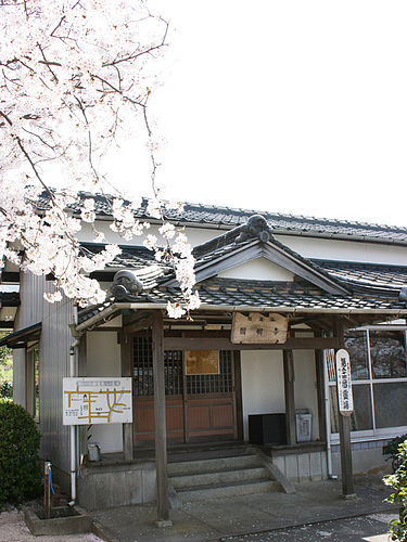 久賀流田「虚空蔵」の桜