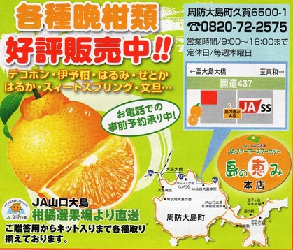 島の恵本店