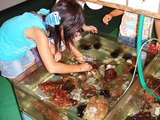 ふれあい水槽