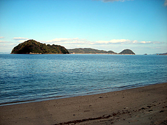 e641e59428d493dae003.jpg