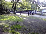 080506c
