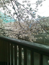 02909d0e.jpg
