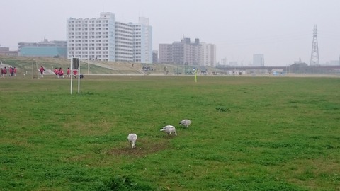 DSC_1273