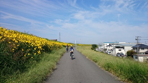 20140923_095138_Android