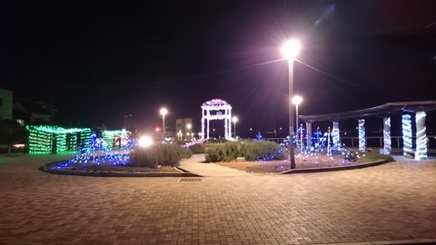 DSC_1393