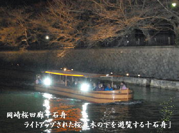 岡崎桜回廊十石舟「ライトアップされた桜並木の下を遊覧する十石舟」