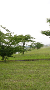 ���줤�ʲ�����