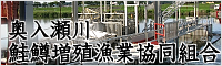 bnrSAKEMASU