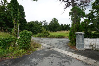 DSC03104