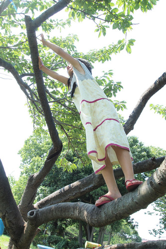 木登り