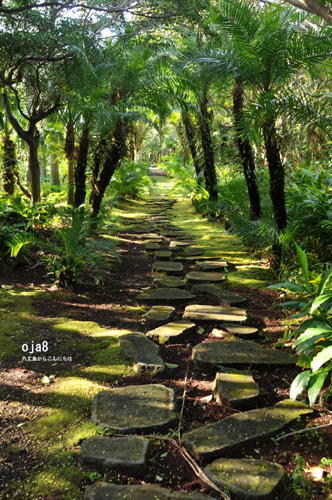 公園